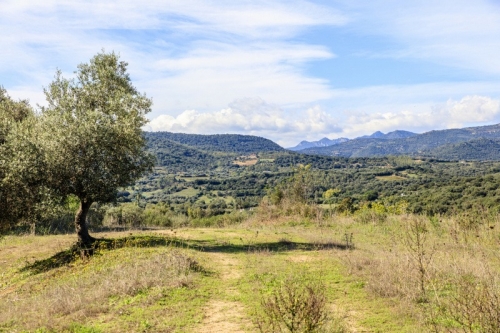 I dintorni: il paese di Onifai